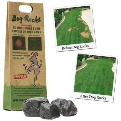 Dogs Rocks akmeņi suņiem pret urīna traipiem