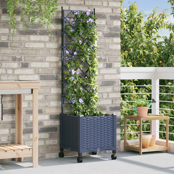 Showing Product Image 2 of 7