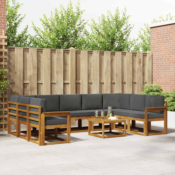 vidaXL Āra dīvānu komplekts ar spilvenu 10 pcs Dabisks un antracīts