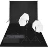 vidaXL fotostudijas komplekts, gaismas un fons
