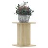 Sonoma_oak