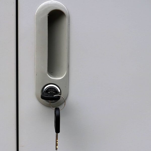 vidaXL Kāpinā&scaron;ana skapji Pelēka 45 x 90 x 180 cm