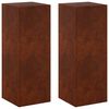 vidaXL Augu statīvs 2 pcs Rūsa 30 x 30 x 80 cm Novecināts tērauds