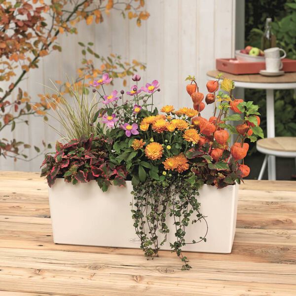 Showing Product Image 4 of 7