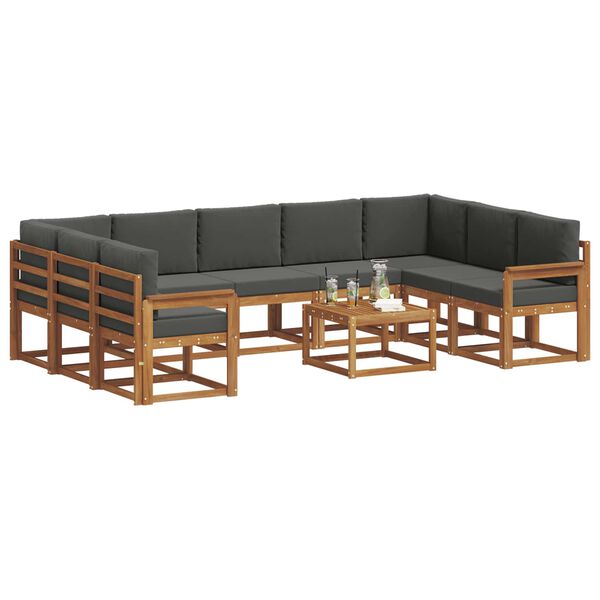 vidaXL Āra dīvānu komplekts ar spilvenu 10 pcs Dabisks un antracīts