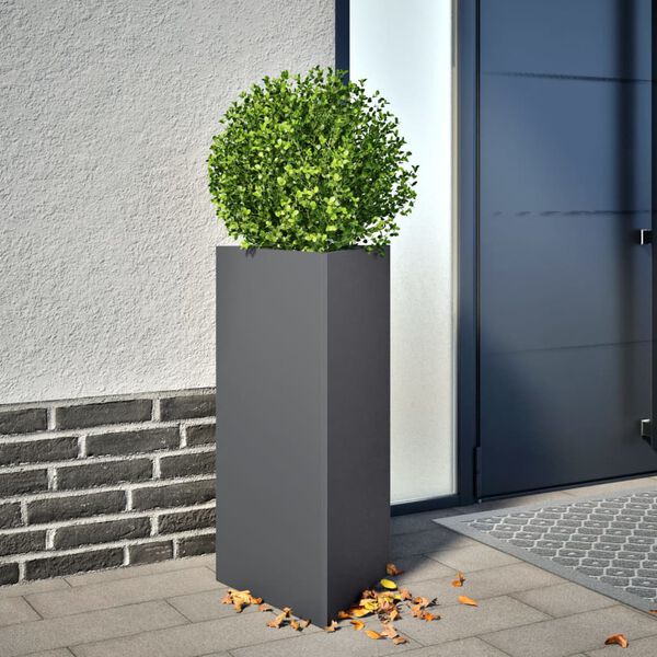 Showing Product Image 2 of 12