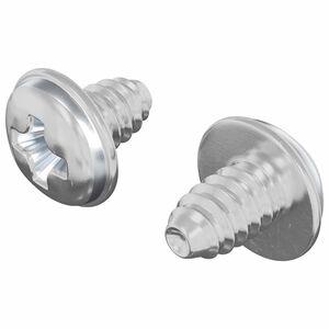 vidaXL Slēdzenes skrūves 2 gab. Sudraba M4 x 5 mm Dzelzs