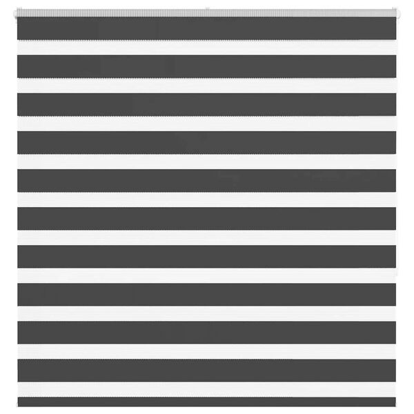 vidaXL žalūzijas zebra 150x150 cm auduma platums 145,9 cm poliesters