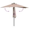vidaXL Dārza parasols Pelēkbrūna 294 x 150 x 223 cm