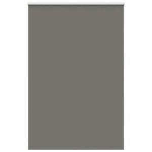 vidaXL Rullo žalūzija Blackout pelēks 165x210cm Auduma platums 161,6cm