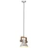vidaXL griestu lampa, industriāls stils, sudrabaina, 25 W, 19 cm, E27