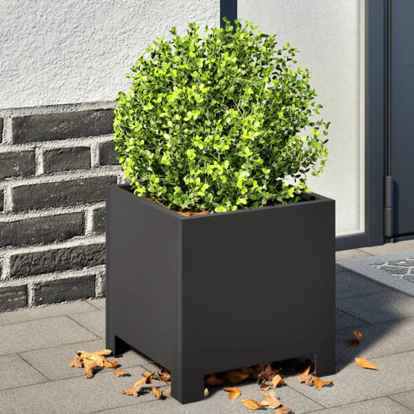 Showing Product Image 2 of 9
