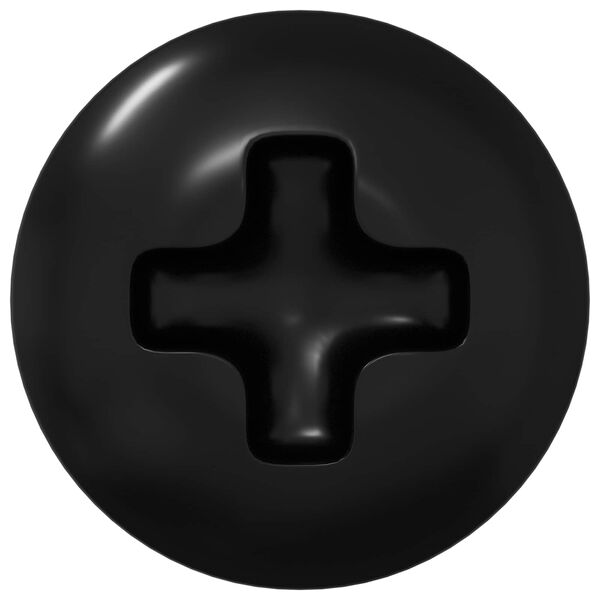 vidaXL Ausu skrūves 2 pcs Melna M4 x 10 mm Tērauds