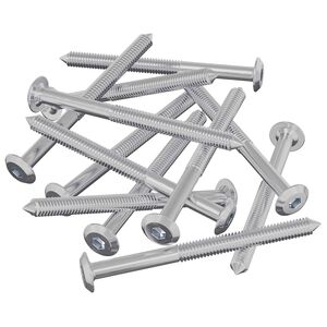 vidaXL Mēbeļu skrūves 12 pcs Sudraba M6 x 85 mm Tērauds