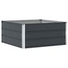 vidaXL Puķu kaste Antracīts 100 x 100 x 45 cm Tērauds