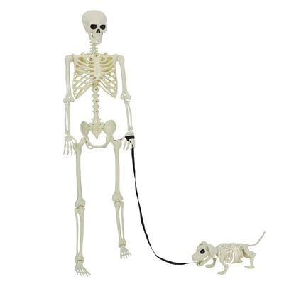 Helovīna skeletu komplekts 2 gab. balts 155 x 38,5 cm