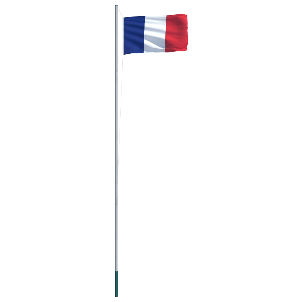 vidaXL Francijas karogs un karoga masts, alumīnijs, 6,2 m