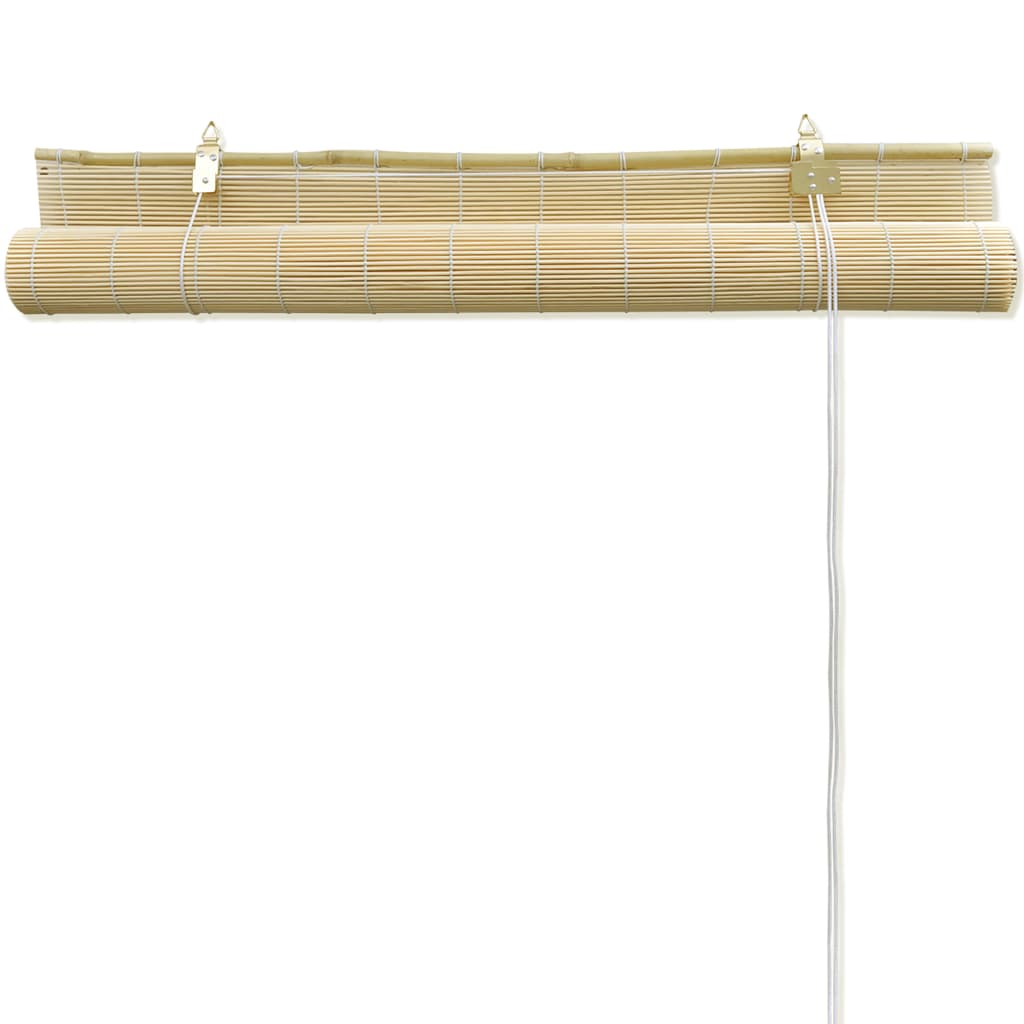 vidaXL ruļļu žalūzija, 100x220 cm, dabīgas krāsas bambuss