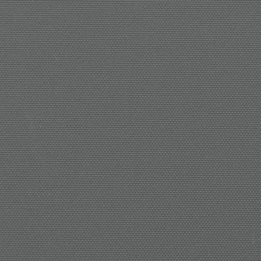 vidaXL izvelkama sānu markīze, antracītpelēks, 100x300 cm