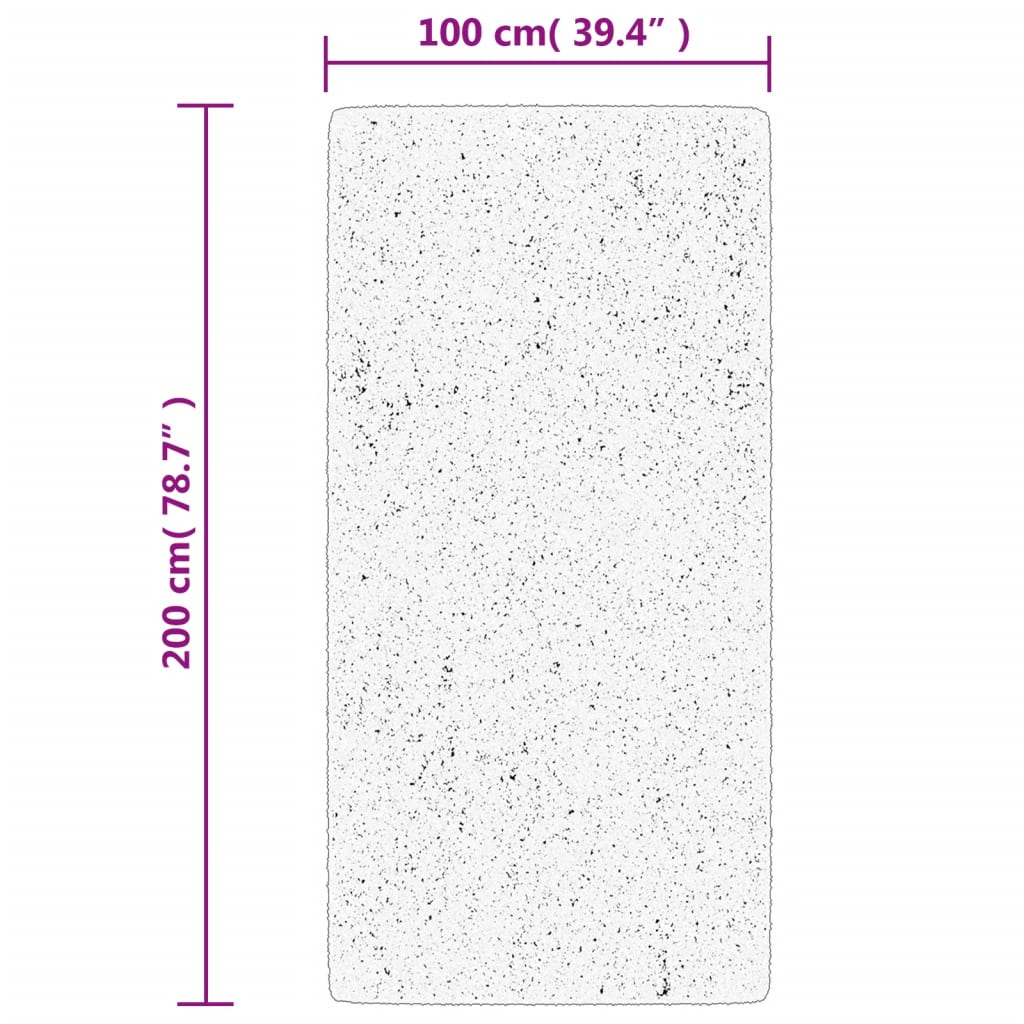 vidaXL paklājs IZA, īsa spalva, skandināvu stils, pelēks, 100x200 cm