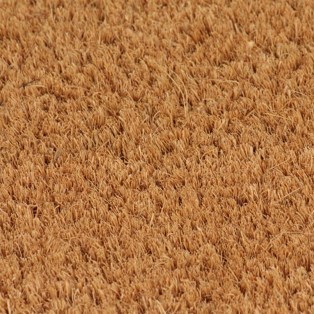 vidaXL durvju paklājs, dabīga krāsa, 100x300cm, pūkaina kokosa šķiedra
