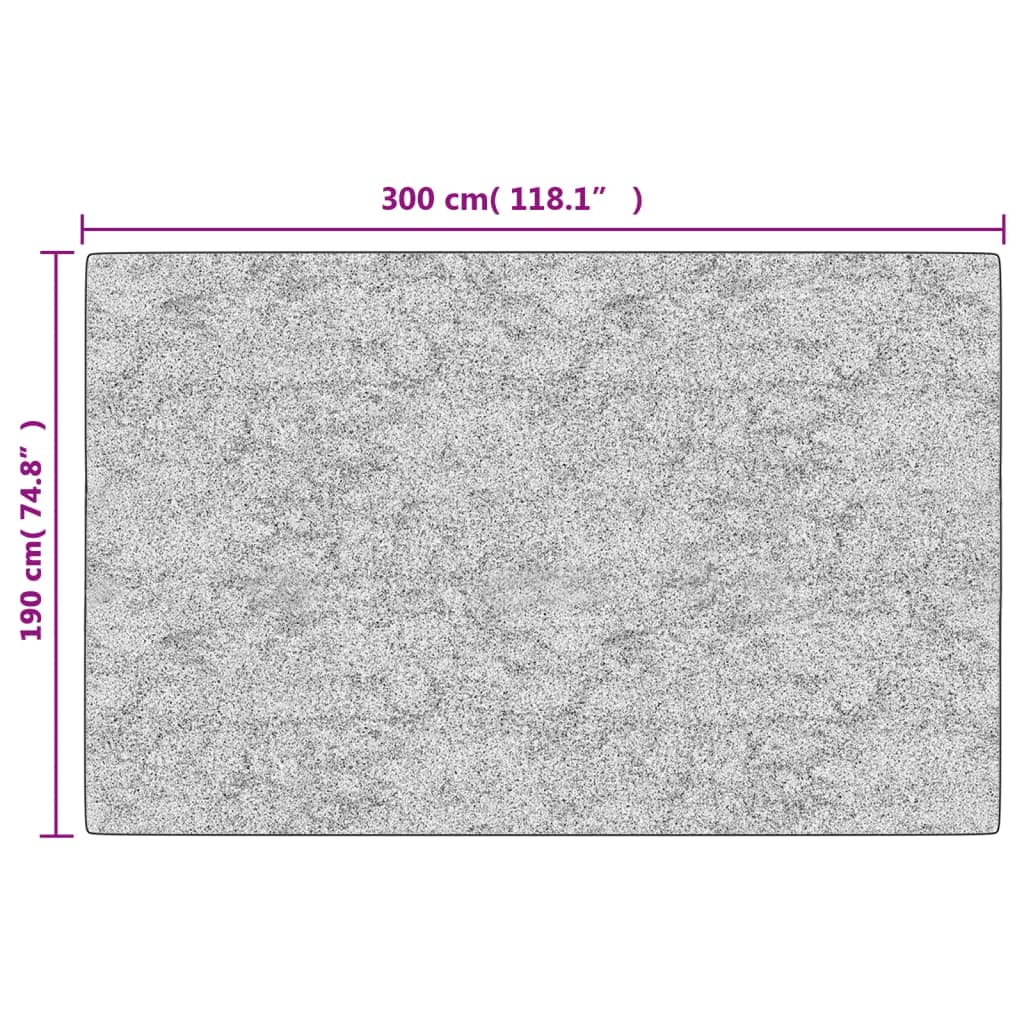 vidaXL paklājs, 190x300 cm, antracītpelēks, mazgājams, neslīdošs