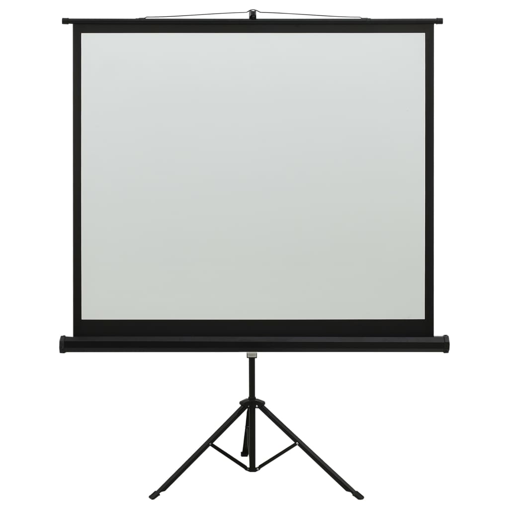 vidaXL projekcijas ekrāns ar statīvu, 60", 1:1