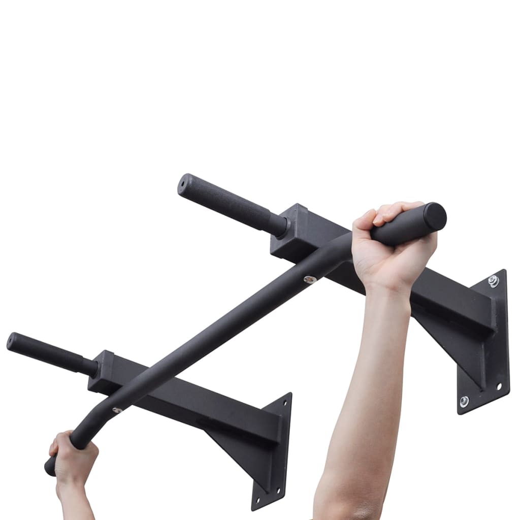 vidaXL pievilkšanās stienis, 250 kg