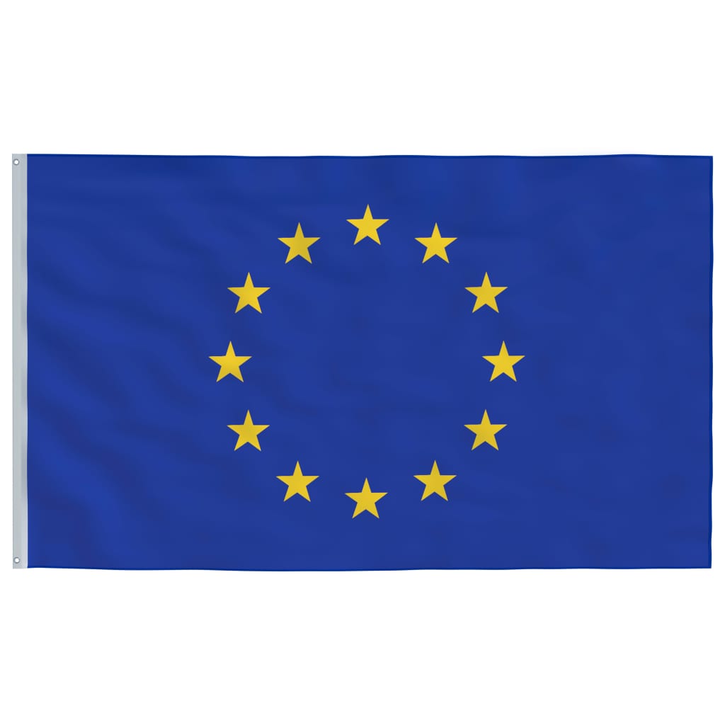 vidaXL Eiropas Savienības karogs un masts, 5,55 m, alumīnijs