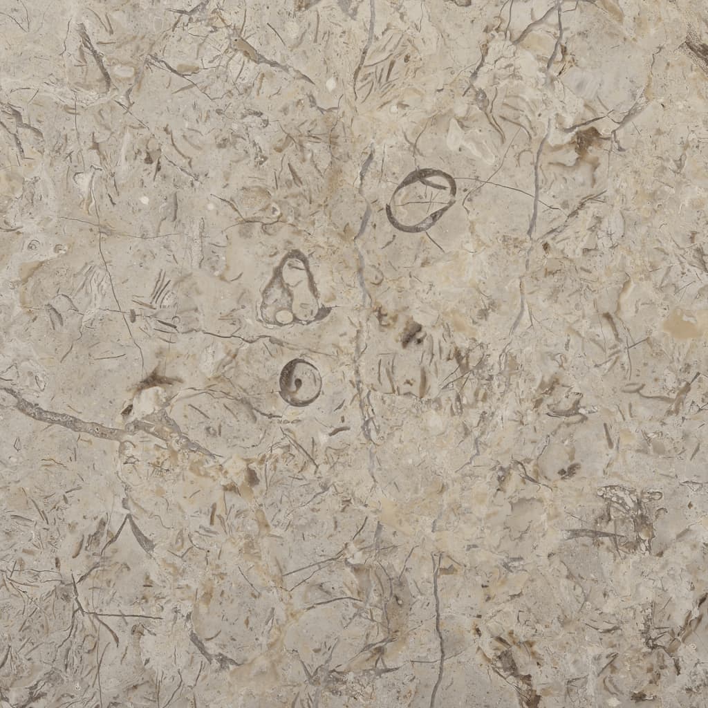 vidaXL galda virsma, Ø50x2,5 cm, pelēks marmors