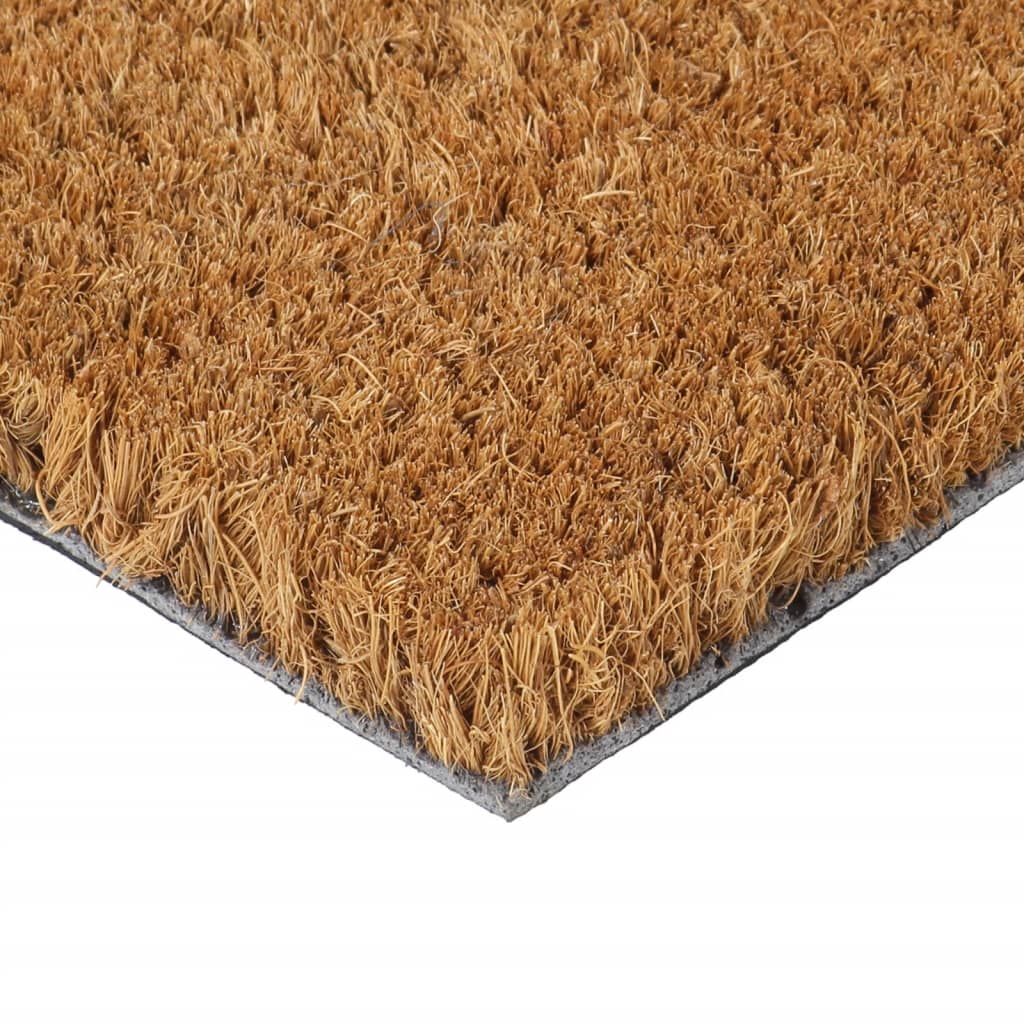 vidaXL durvju paklājs, dabīga krāsa, 40x60 cm, pūkaina kokosa šķiedra