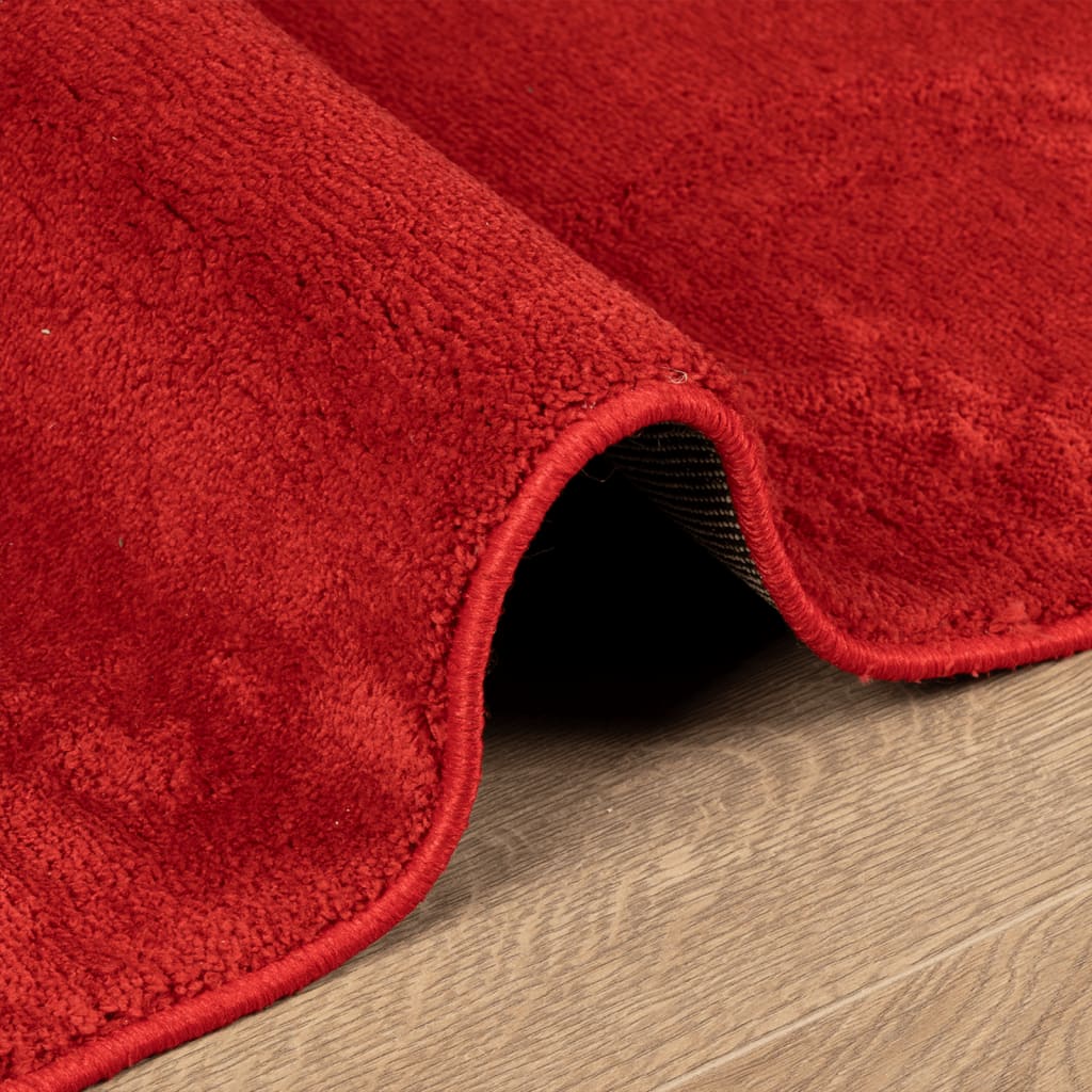 vidaXL paklājs OVIEDO, īsa spalva, sarkans, 240x240 cm