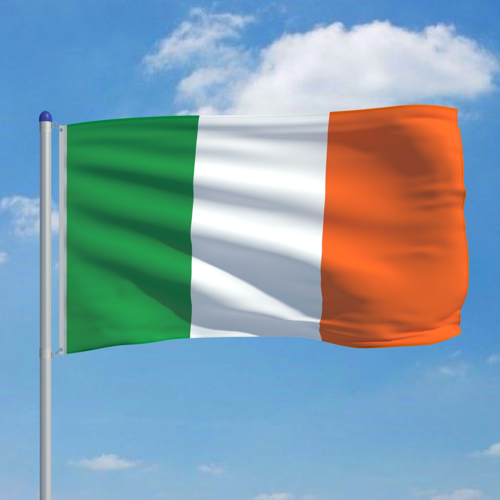 vidaXL Īrijas karogs un karoga masts, alumīnijs, 6 m
