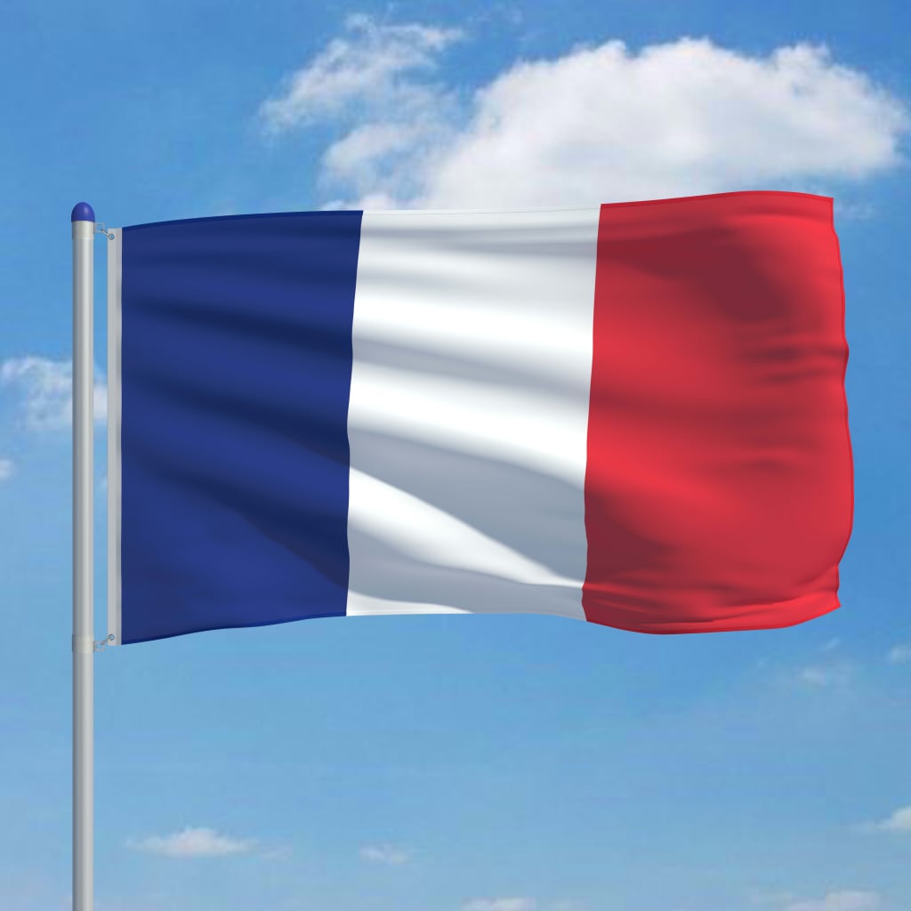 vidaXL Francijas karogs un karoga masts, alumīnijs, 6 m