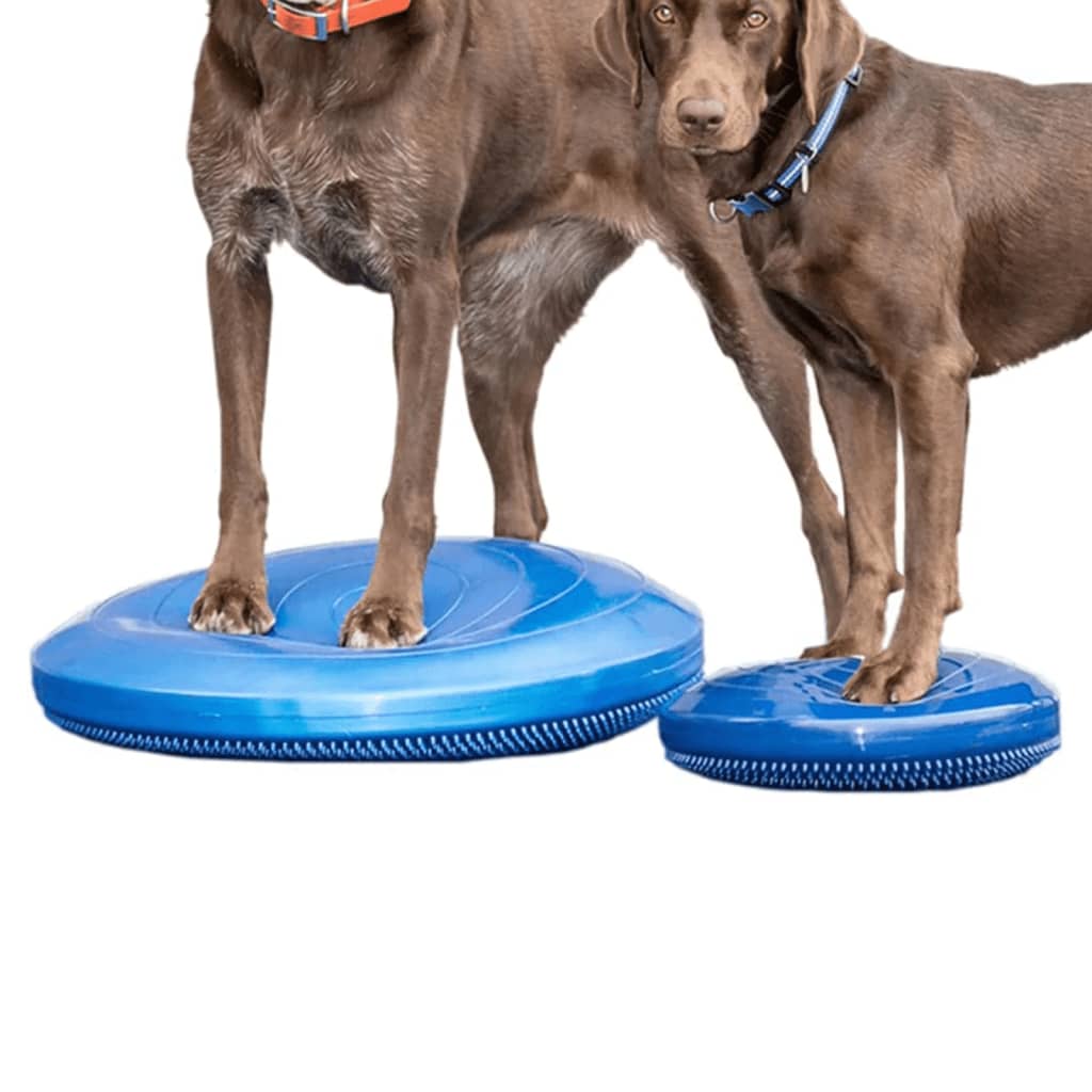 FitPAWS mājdzīvnieku līdzsvara disks, 56 cm, zils