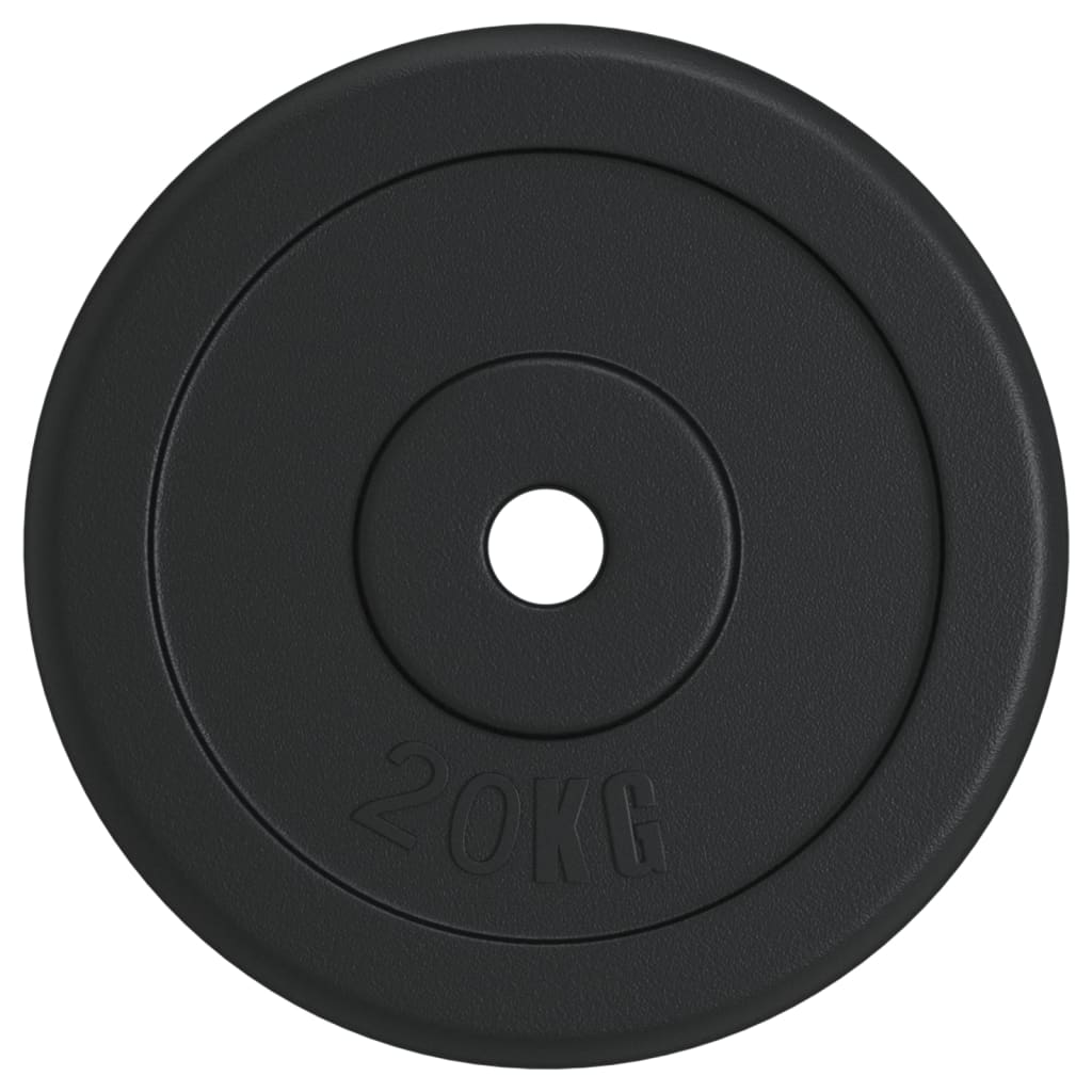 vidaXL svaru disks, 40 kg, čuguns