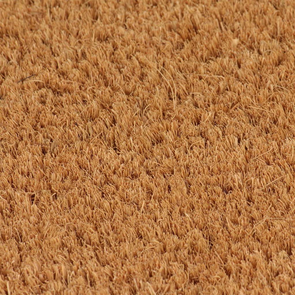 vidaXL durvju paklājs, dabīga krāsa, 100x200cm, pūkaina kokosa šķiedra