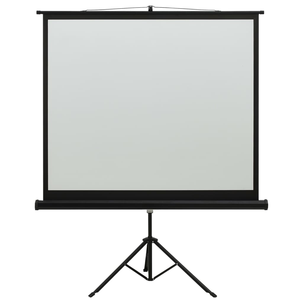 vidaXL projekcijas ekrāns ar statīvu, 57", 16:9