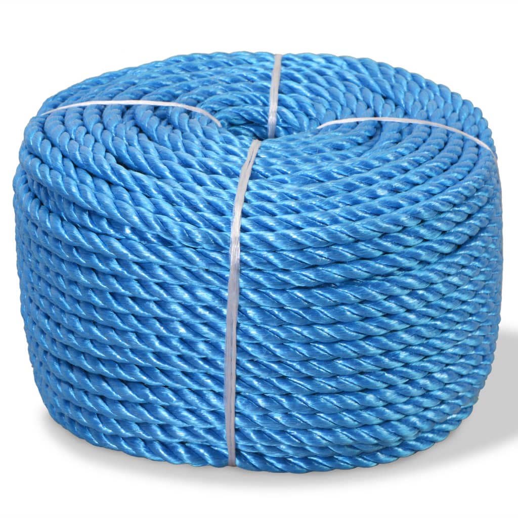vidaXL vīta virve, polipropilēns, 14 mm, 100 m, zila