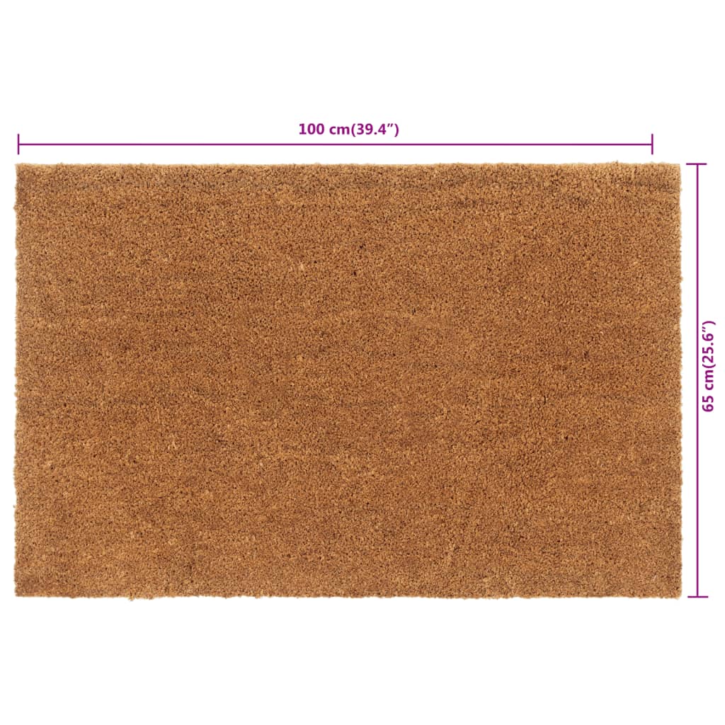 vidaXL durvju paklājs, dabīga krāsa, 65x100 cm, pūkaina kokosa šķiedra