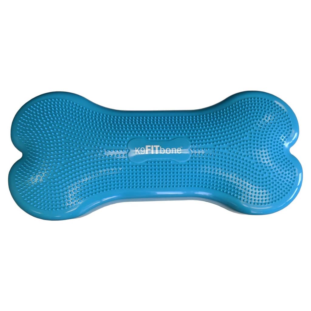 FitPAWS dzīvnieku līdzsvara platforma Giant K9FITbone, ūdens zils PVC
