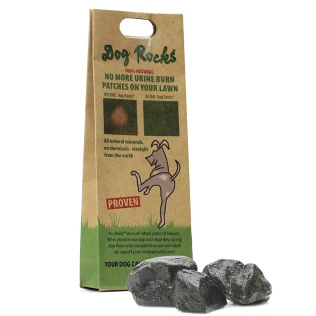 Dogs Rocks akmeņi suņiem pret urīna traipiem