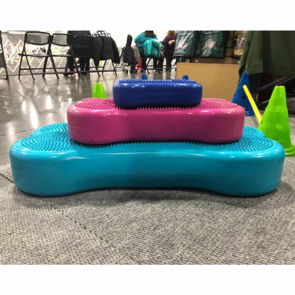 FitPAWS dzīvnieku līdzsvara platforma Giant K9FITbone, ūdens zils PVC