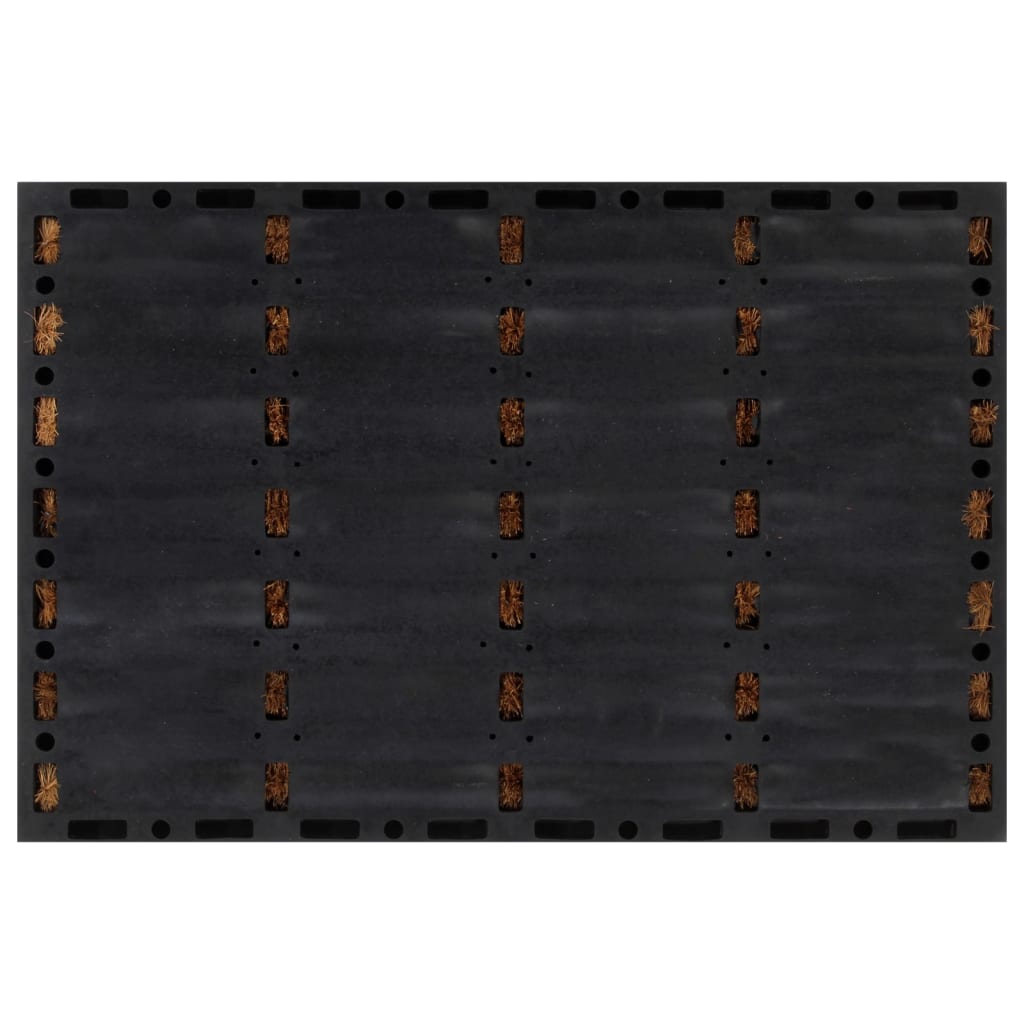 vidaXL durvju paklājs, taisnstūra, 40x60 cm, gumija, kokosa šķiedra