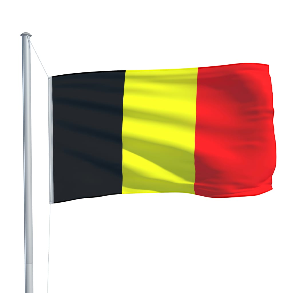 vidaXL Beļģijas karogs un karoga masts, alumīnijs, 6,2 m