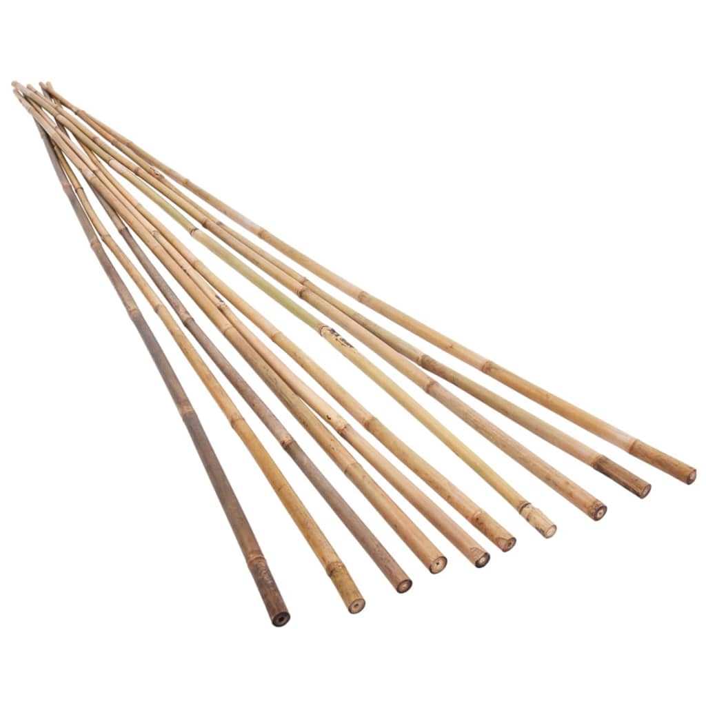 vidaXL dārza bambusa mietiņi, 50 gab., 150 cm