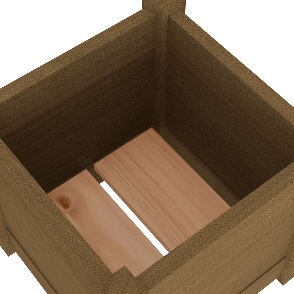 vidaXL dārza puķu kastes, 2 gab., medus brūnas, 31x31x31 cm, priede