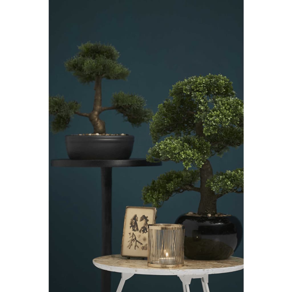 Emerald zīmola mākslīgais fikusa bonsai koks, 47 cm, zaļš, 420006