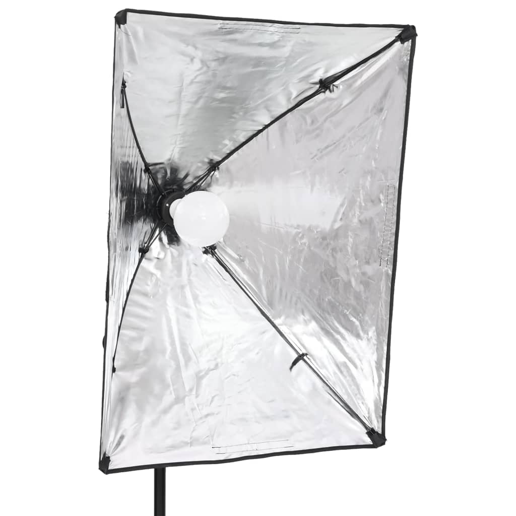 vidaXL profesionālas fotostudijas gaismas, 2 gab., 40x60 cm