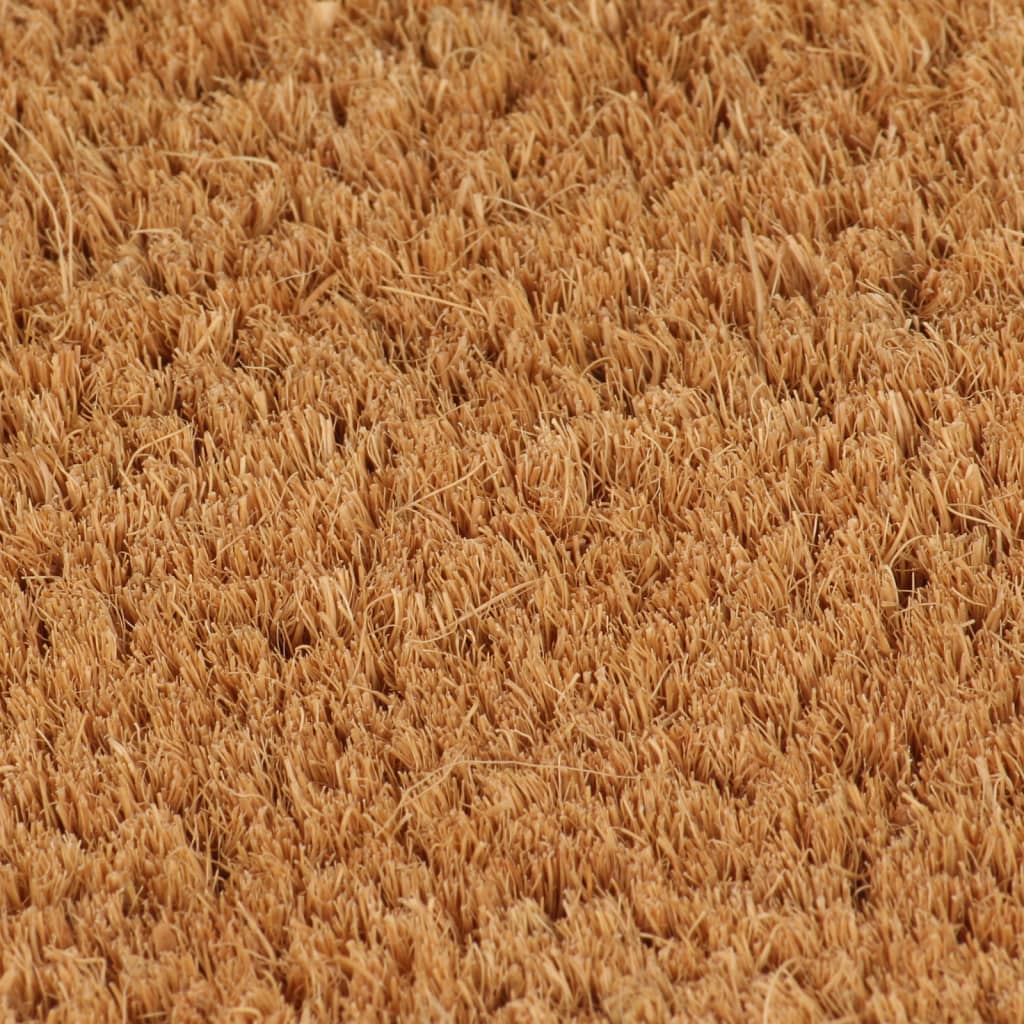 vidaXL durvju paklājs, dabīga krāsa, 90x150 cm, pūkaina kokosa šķiedra